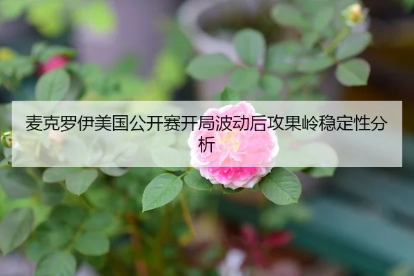 麦克罗伊美国公开赛开局波动后攻果岭稳定性分析